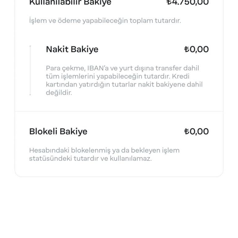 Papara Uygulamasında Kredi Kartı Transfer Sorunu!