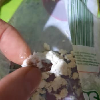 Bozulmuş Lor Peyniri Ve Mantarımsı Madde Şoku