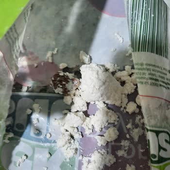 Bozulmuş Lor Peyniri Ve Mantarımsı Madde Şoku