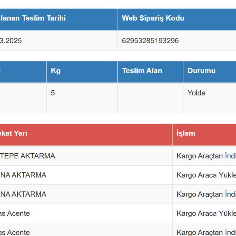 Kargo Teslimatında Gecikme Ve Takip Sistemi Sorunu