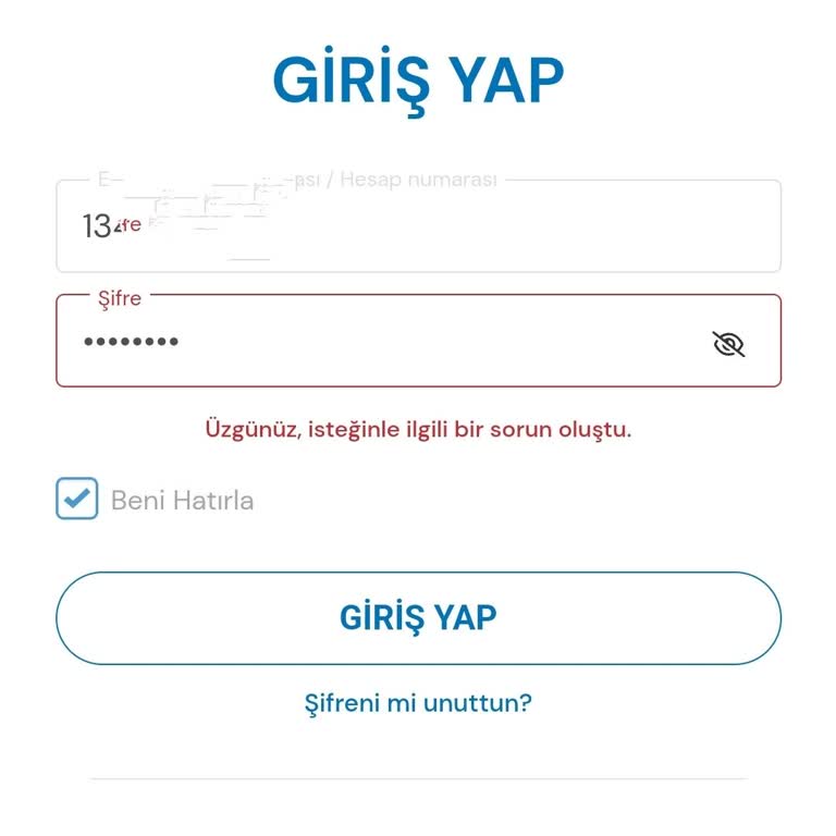 Milli Piyango Uygulamasında Giriş Sorunu Ve Yetersiz Bilgilendirme