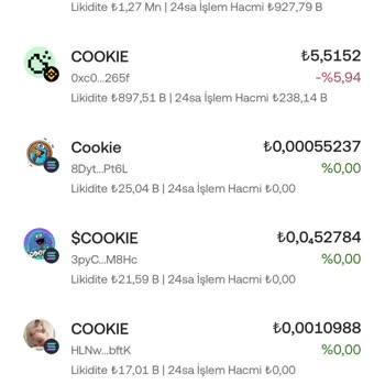 Web 3 Cüzdanında Yanıltıcı Adres Ve Kaybolan Tokenler