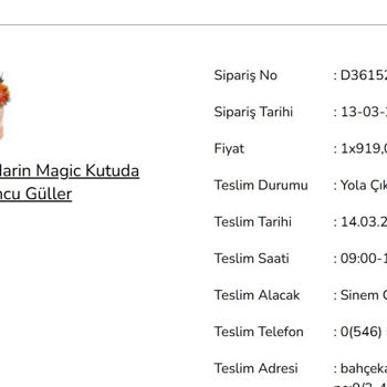 Yanlış Ürün Teslimatı Ve Yetersiz Müşteri Hizmetleriyle Hayal Kırıklığı