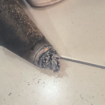 Egzoz Sorunu Ve Garanti Mağduriyeti