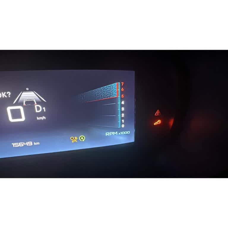 Citroen'de Sürekli Arıza Ve İlgisizlik Sorunu