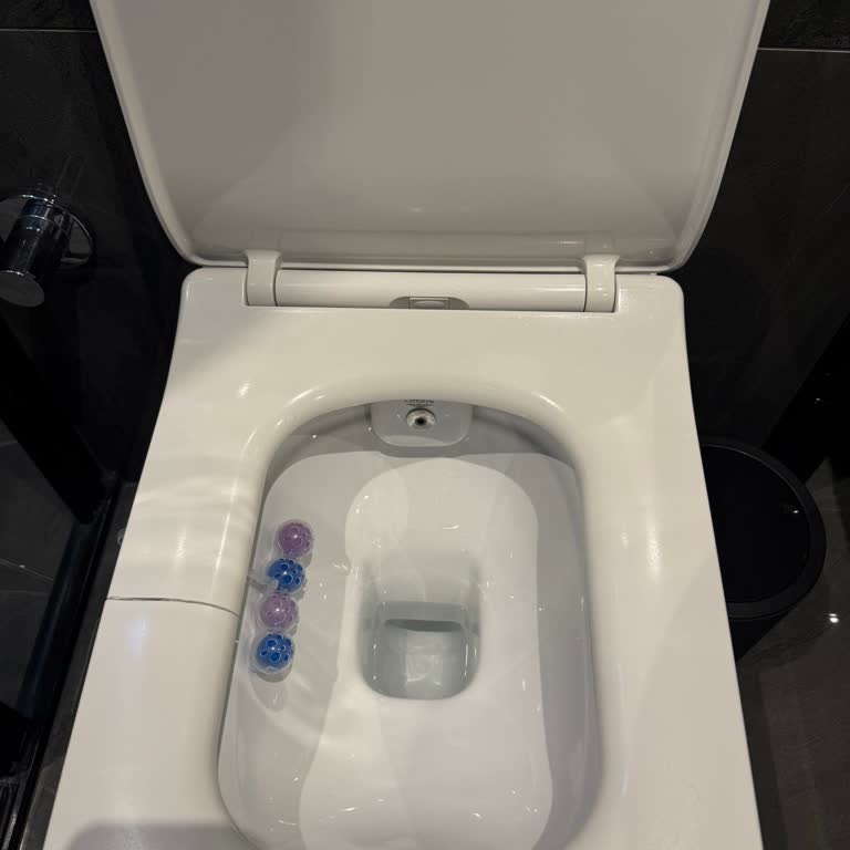 Turkuaz Cerastyle Klozet Kapaklarındaki Dayanıklılık Sorunu