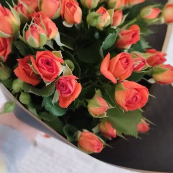 Çiçeksepeti Цветы: Неправильная и неполная доставка