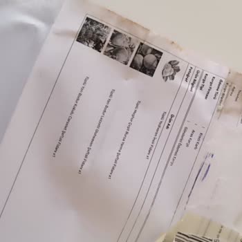 Yanlış Ürün Ve Eksik Teslimat Sorunu