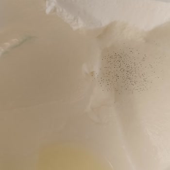 Yoğurt Küflenme Sorunu: Zehir Mi Yiyoruz?