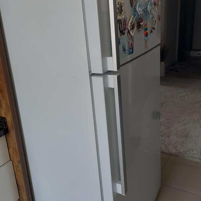 Beko Buzdolabında Kronik Motor Sorunu