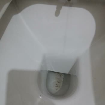 Yeni Visam Teos Klozet Rezervuarı Su Sızıntısı Ve Buton Sorunu