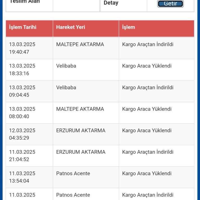 Kargonun İstanbul'da Teslim Edilememesi Sorunu