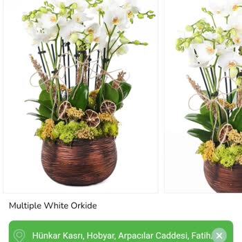 Yanıltıcı Çiçek Siparişi: Tazecicek Güven Sarsıyor