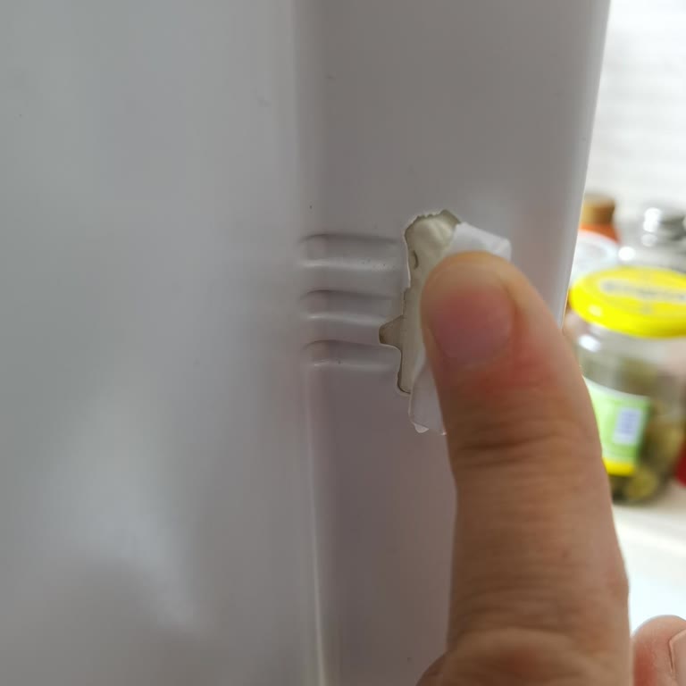 Vestel Buzdolabında Kendi Kendine Kırılan Kapak Rafları