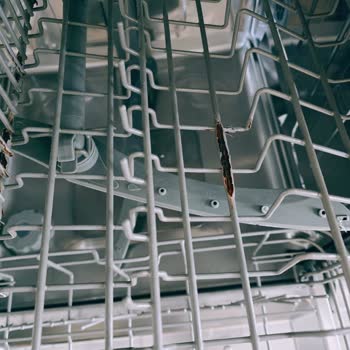 Samsung DW60M5042FS Dishwasher Baskets Rotted and Replacement Is Overpriced