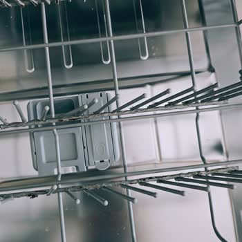 Samsung DW60M5042FS Dishwasher Baskets Rotted and Replacement Is Overpriced