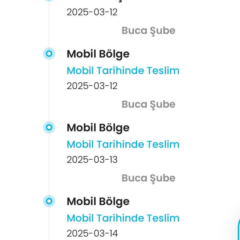 Teslim Edilemeyen Sipariş Ve Kargo Sorunu