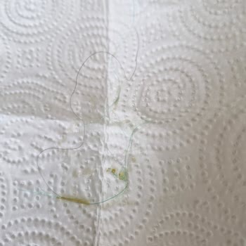 Yenigün Gıda Kahvaltıda Karşılaşılan Hijyen Skandalı