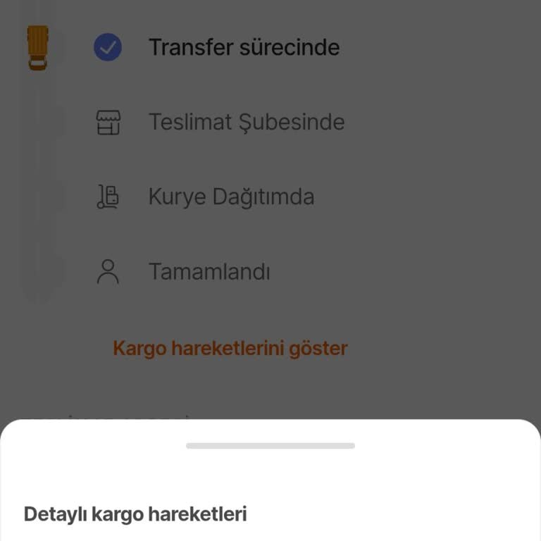 Randevulu Teslimat Krizi: Çözüm Bekleyen Müşteri