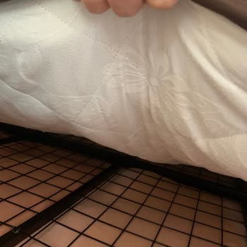 Bambu Markalı Ürün Çökme Ve Memnuniyetsizlik