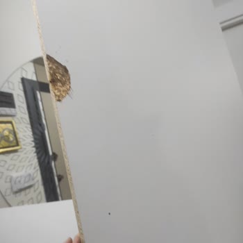 Kırık Dolap Ve Sessiz Müşteri Hizmetleri