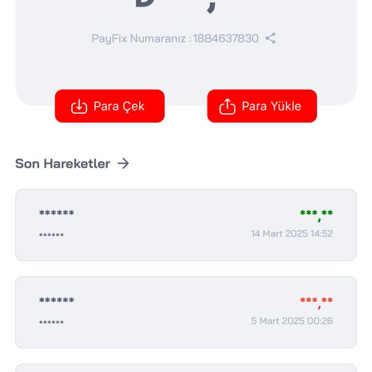 Payfix Hesabındaki Bakiyeyi Başka Bankaya Aktaramama Sorunu