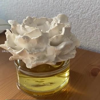 Missi Home Üretim Hatası, Pişmanlıktır!
