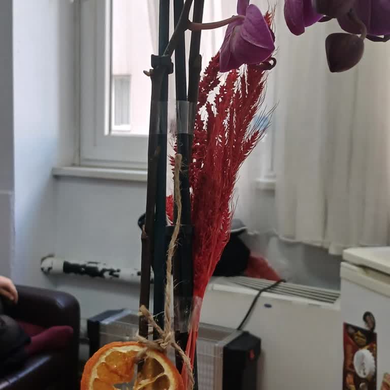 Yanıltıcı Çiçek Siparişi Ve Yetersiz Müşteri Hizmetleri
