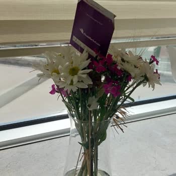 Hayal Kırıklığı Yaratan Sipariş Deneyimi