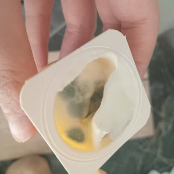 Küflü Danino: Depolama Koşulları Sorgulanıyor