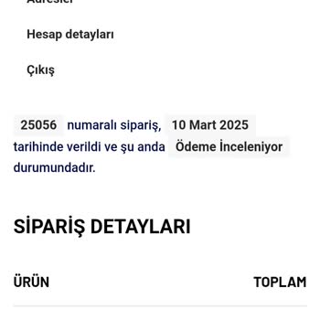 Sahte Siteye Karşı Dikkat: Buhar Makinesi Siparişimde Yaşadıklarım