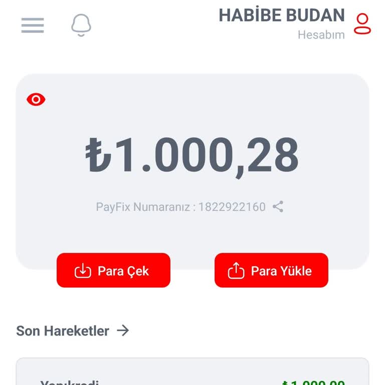 Payfix Hesabında Para Çekim Ve Gönderim Sorunu
