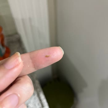 Bebek Mamalarında Güvenlik Sorunu