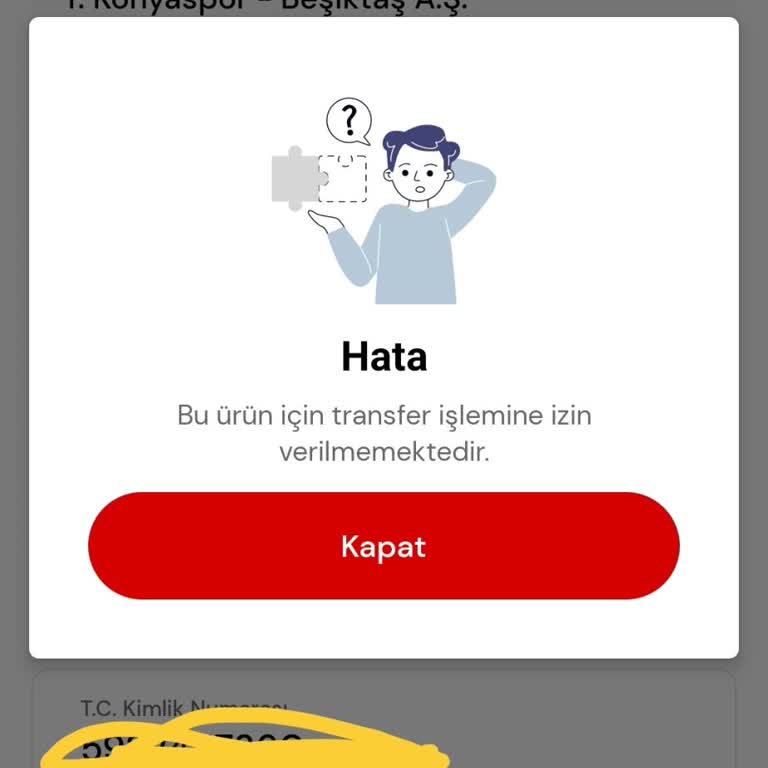 Transfer Hatası: Müşteri Mağduriyeti