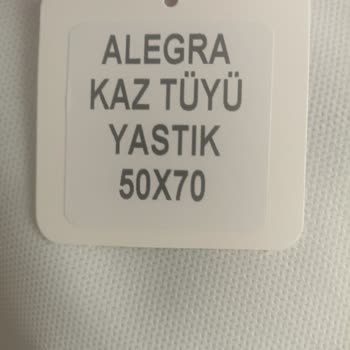 Penelope Yastıkla Uykusuz Geceler