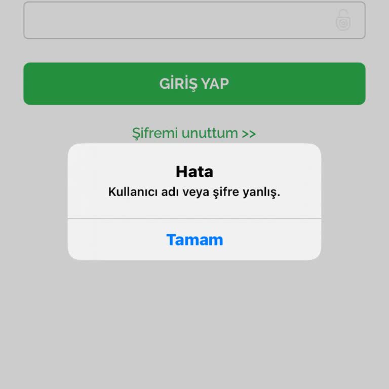 Armut Uygulamasında Yanlış Anlaşılma Ve Hesap Sorunu