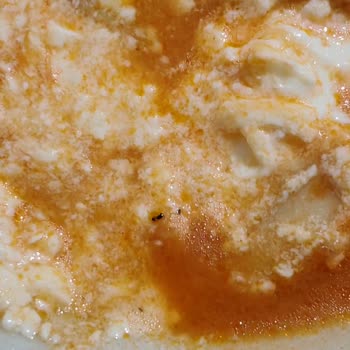 Böcekli Mantı Ve Hediye Çeki Karmaşası