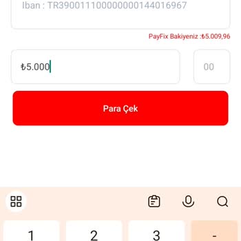 Payfix Hesaplarıma Erişim Engeli: Acil Yardım Talebi