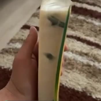 Torku Küflenmiş Kaşar!
