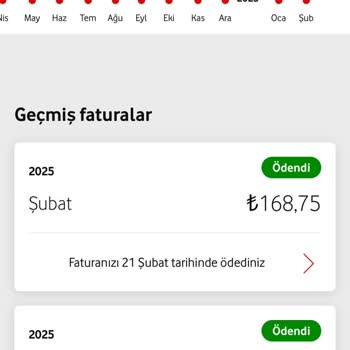 Faturam Neden Üç Katı Görünüyor
