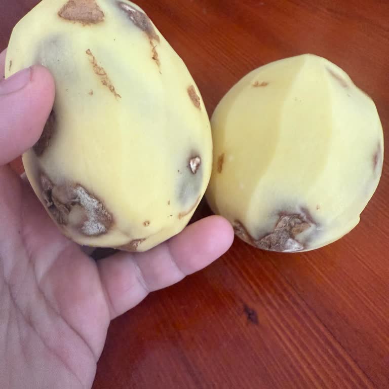 BİM Marketten Aldığım Patatesler Çürük Çıktı