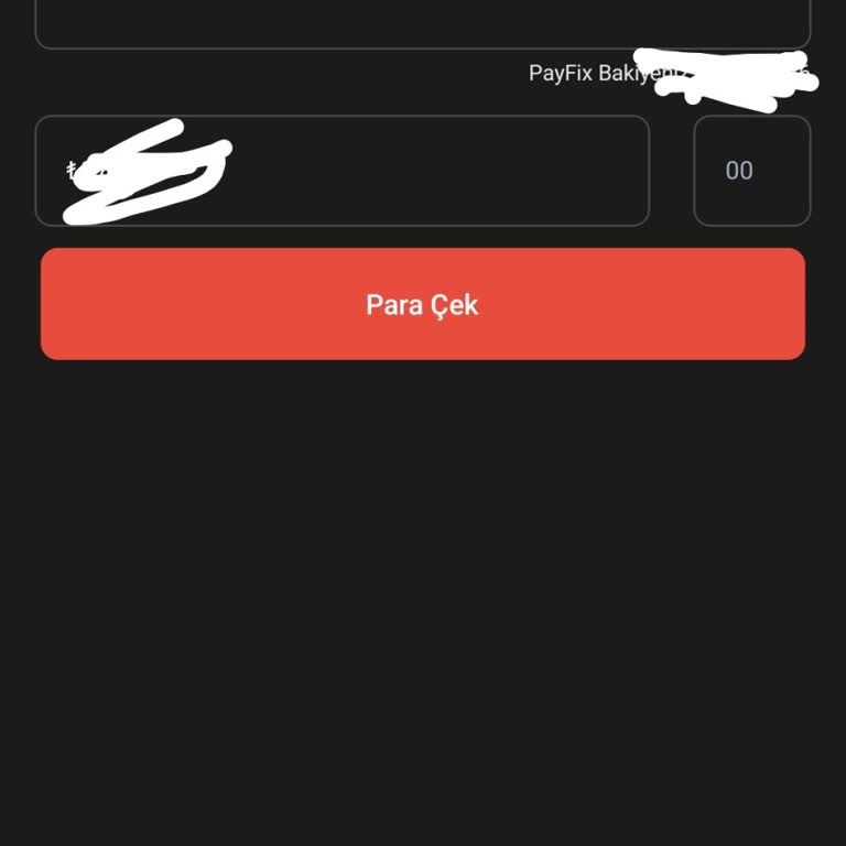 Payfix'te Para Çekme Sorunu Ve Çözüm Beklentisi