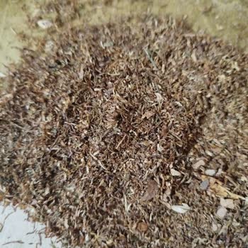 Camel'in Ürün Kalitesindeki Düşüş Ve Müşteri Memnuniyetsizliği