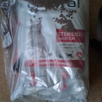 Yanlış Ve Hasarlı Kedi Maması Teslimatı