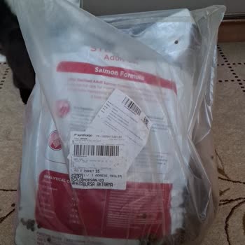 Yanlış Kedi Maması Ve Kargo Sorunu