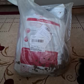 Yanlış Kedi Maması Ve Kargo Sorunu