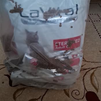 Yanlış Kedi Maması Ve Kargo Sorunu