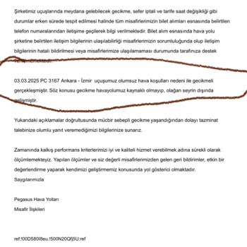 Pegasus Uçuş Rötarı Ve Yanıltıcı Bilgilendirme Sorunu