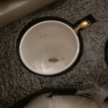 Karaca Züccaciye Böcekli Fincan Şoku