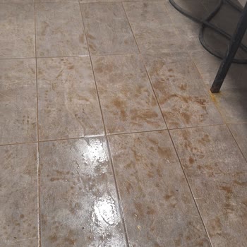 Ankara Büyükşehir Belediyesi Kurtuluş Parkı WC'leri Temizlik Sorunu